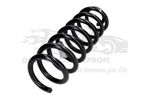 550205576R Fahrwerksfeder hinten Renault