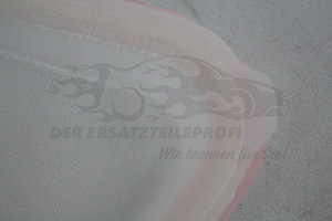 828649917R Türfüllung hinten rechts Renault