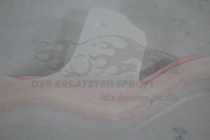 828649917R Türfüllung hinten rechts Renault