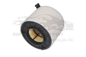 8W0133843 Luftfilter Purflux
