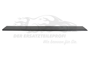 1637298880 Zierleiste Seitenteil links vorne Citroen