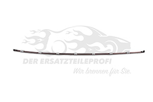 Zier- Schutzleiste für Dach Renault 738522314R