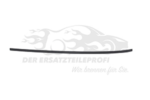 Zier- Schutzleiste für Dach Renault 738535261R