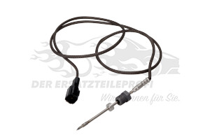 Abgastemperatursensor Katalysator