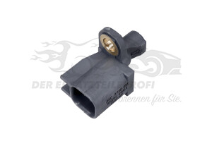 ABS-Sensor