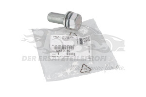 Schraube für Stoßdämpfer Citroen 522310