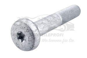 Schraube für Querlenker Citroen 352288