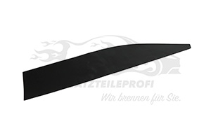 Zierleiste hinten links