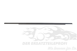 Fensterdichtung (Seitenscheibe) Beifahrerseite