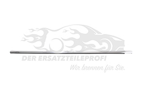 Fensterdichtung (Seitenscheibe) Fahrerseite