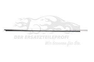 Fensterdichtung (Seitenscheibe) Fahrerseite