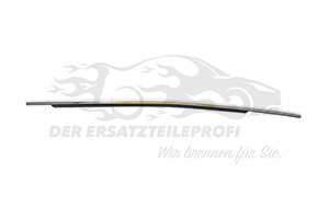 Fensterdichtung (Seitenscheibe) Beiahrerseite