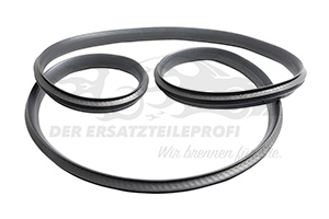 Türdichtung Renault 808328533R