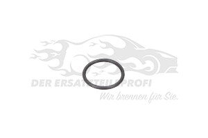 Dichtring Kraftstsoffdruckregler