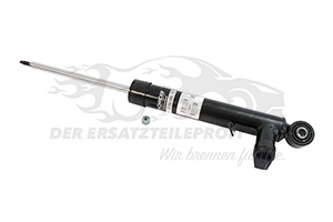 Stoßdämpfer 3C0513046D