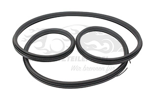 9025GT Türdichtung (Rahmendichtung) vorne links oder rechts Citroen