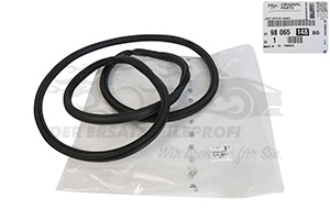 Dichtung für Türrahmen Citroen 9806514880