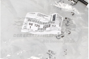 9812500880 Türschloss vorne links Peugeot