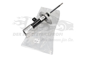 Stoßdämpfer Peugeot 9832160180