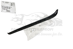 Zier- Schutzleiste für Frontscheibe Peugeot 8120CX