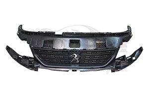 1632655980 Kühlergrill (NEX) Peugeot