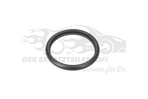 Dichtung Thermostat