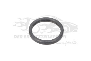 Dichtung Thermostat