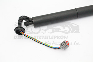 1918023 Heckklappendämpfer links 