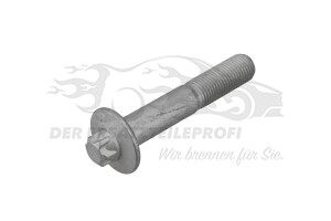 Schraube für Querlenker Peugeot 6925L6