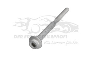 WHT004739 Schraube, Einspritzdüsenhalter 