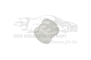 Buchse, Schaltstange