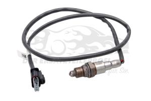 5931956 Lambdasonde Ford