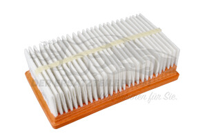 165466859R Luftfilter Dacia