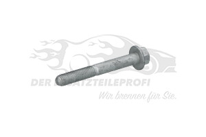 Staubkappe für Entlüfterschraube Renault 7703002684