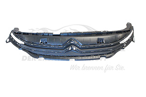 9816749780 Halter Kühlergrill Citroen