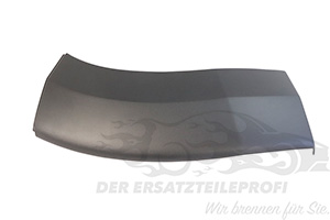 1637294380 Zierleiste an Stoßecke vorne rechts Citroen