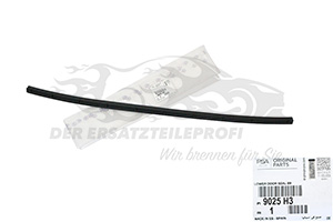 Türdichtung Citroen 9025H3