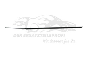 Dichtleiste, Türscheibe vorne rechts