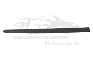 Zierleiste Türe vorne links
