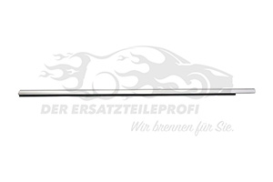 Dichtleiste, Türscheibe vorne links