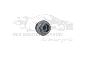 2584071 Radmutter Ford