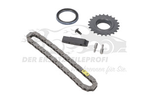 Steuerkette Renault 7701472674