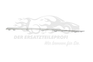 Zier- Schutzleiste für Tür 808216861R
