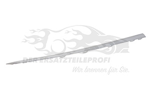 Zierleisteneinsatz vorne rechts