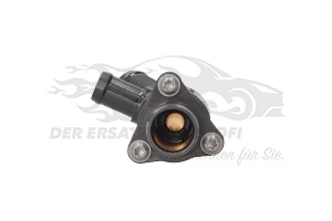110612674R Thermostat 