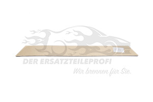 8201319784 Einstiegleisten vorne Schriftzug Renault Renault