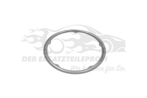 Auspuffrohrdichtungen 55599940