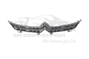 1609551280 Halter Winkelleisten Kühlergrill Citroen