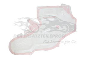 YQ00046480 Türfüllung vorne links Citroen