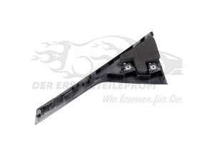 9811518880 Zierblende, Türscheibe hinten rechts Peugeot